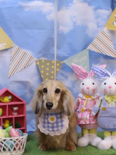 20240308そらくん